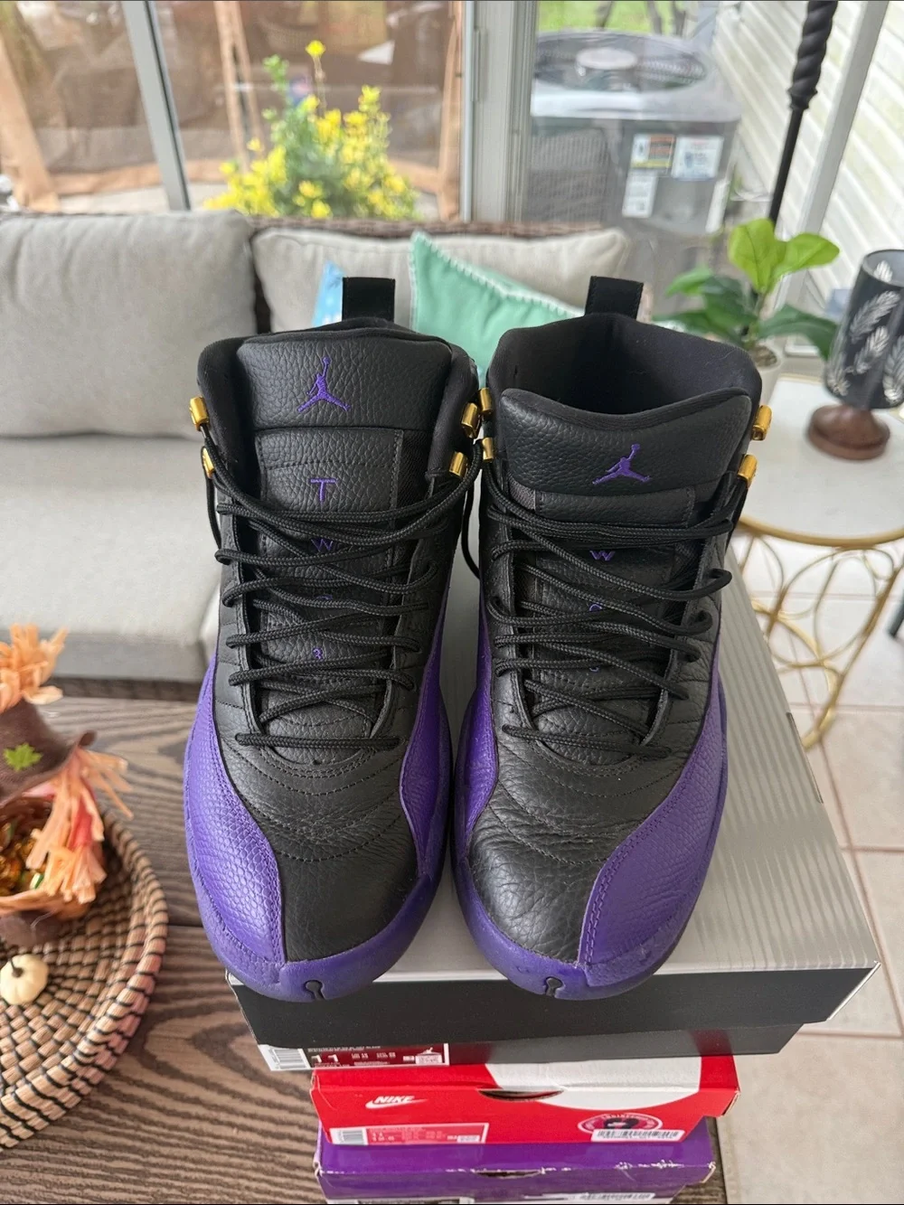 Jordan 12